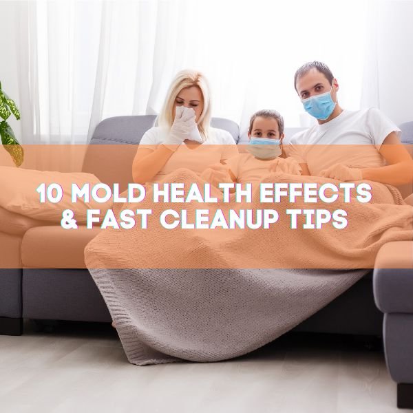 10 Mold Health Effects & Fast Cleanup Tips - Bio-On