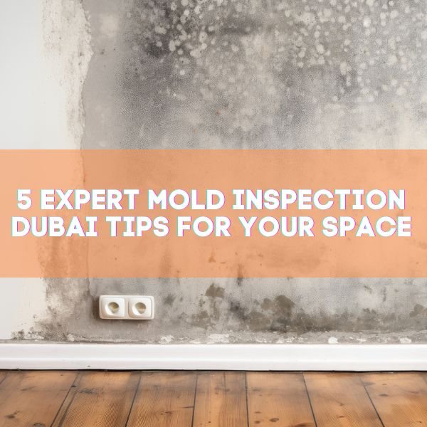 5 Expert Mold Inspection Dubai Tips for Your Space - Bio-On