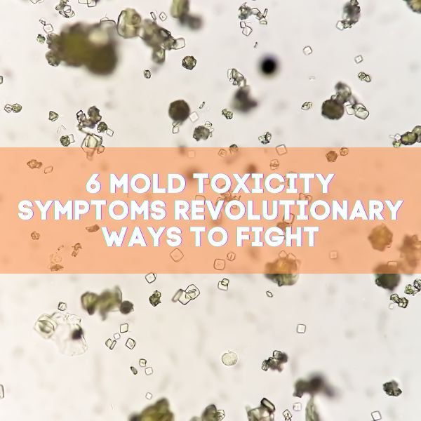 6 Mold Toxicity Symptoms Revolutionary Ways to Fight - Bio-On