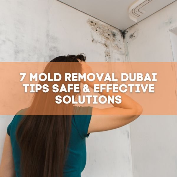 7 Mold Removal Dubai Tips Safe & Effective Solutions - Bio-On