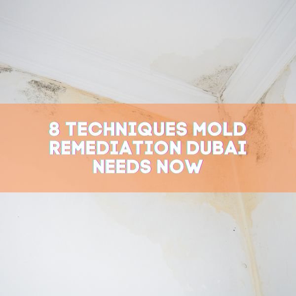 8 Techniques Mold Remediation Dubai Needs Now - Bio-On