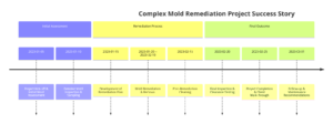 Diagram showing the step-by-step success story of a complex mold remediation project, highlighting the initial assessment, remediation process, and final outcome - Bio-On