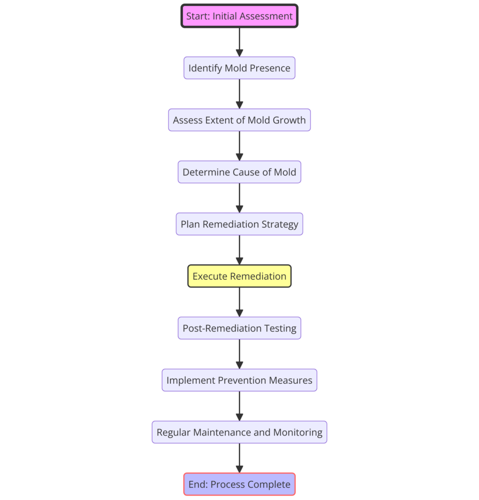 Flowchart depicting the professional mold assessment and remediation process, from initial assessment to prevention measures post-remediation. - Bio-On