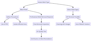 Flowchart illustrating the step-by-step process for assessing and treating different types of mold - Bio-On