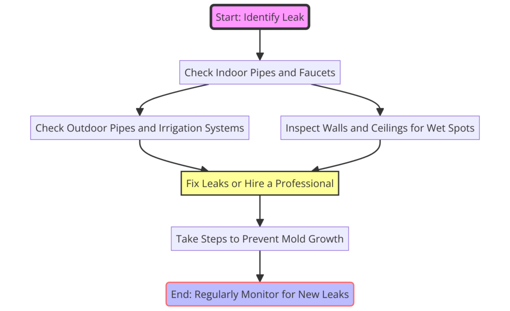 Step-by-step guide to identifying and fixing leaks in your home to prevent mold growth - Bio-On