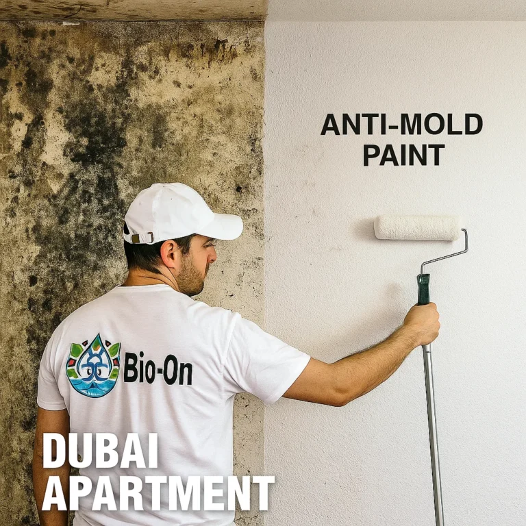 Mold paint being applied to a mold-prone Dubai wall—does it really solve the problem