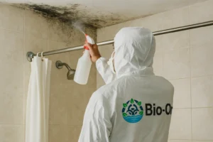 Mildew can return quickly in humid UAE homes—proper cleaning and expert help make a difference