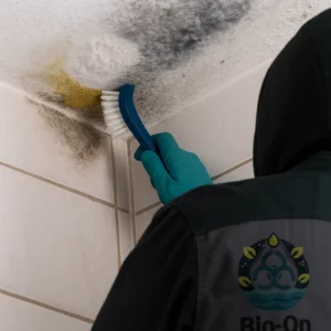 Mildew in UAE homes can appear in white, gray, or yellow—each color tells a story about moisture and air quality