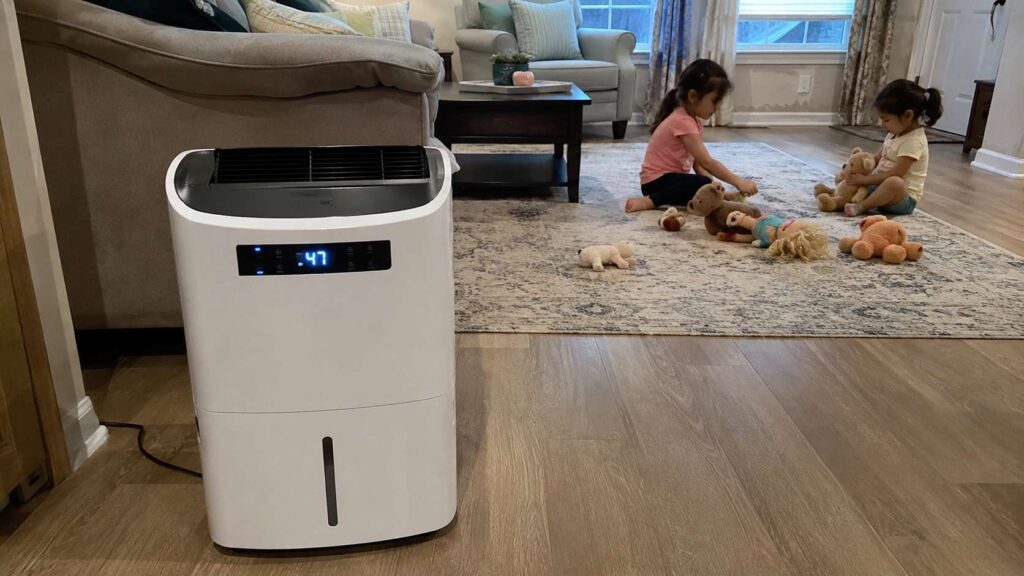 Can dehumidifier help with mold? This one says yes