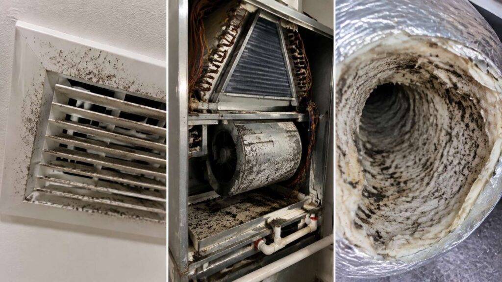 Mold around an external vent grille, contamination inside an air handler, and mold on internal duct insulation