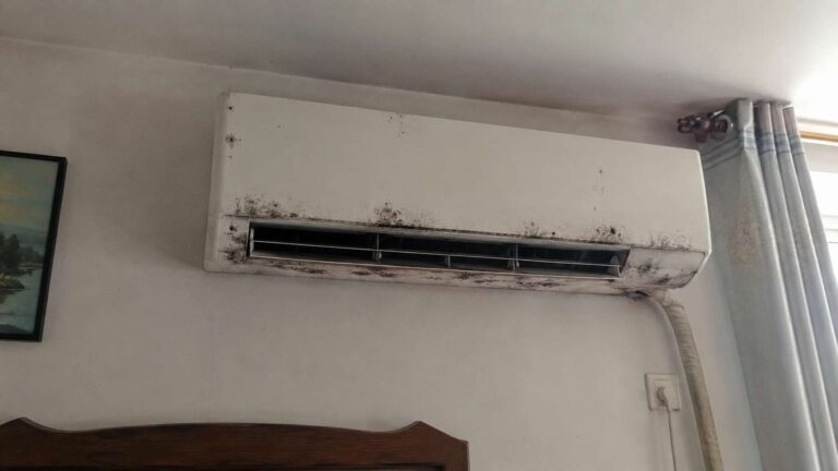 Black Mold in Wall AC Unit
