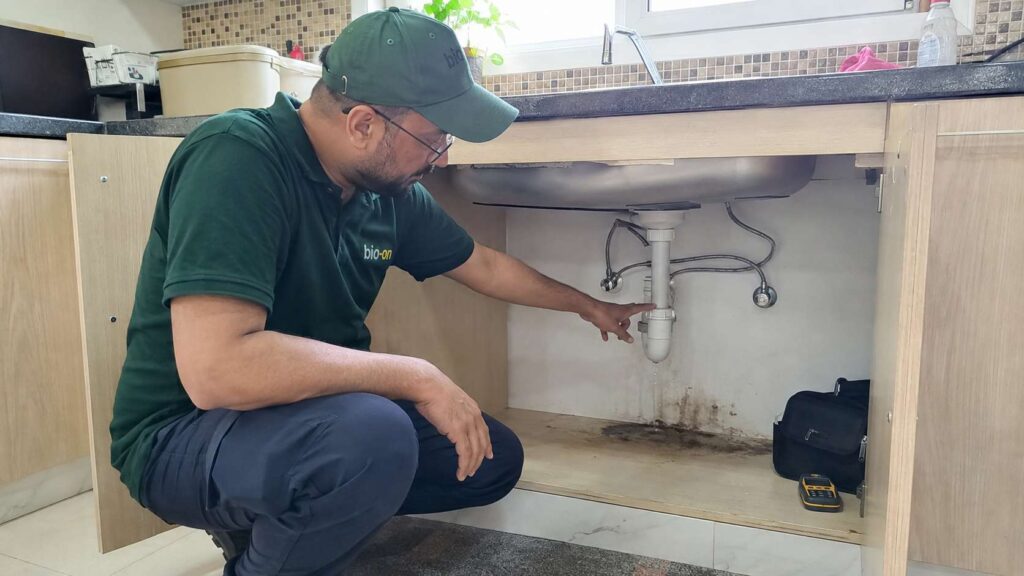 Finding the source of the moisture that triggers mold growth