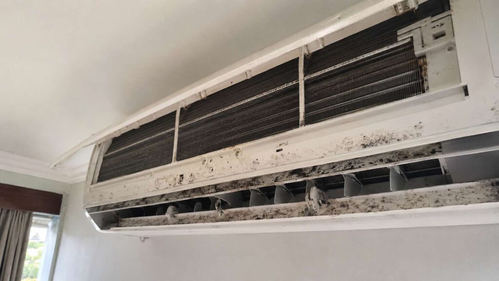 Mold growing inside an AC