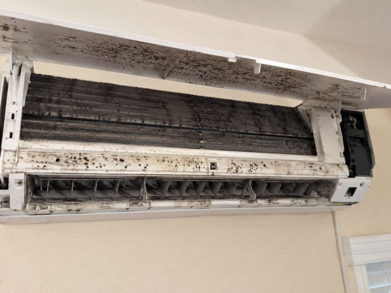 Mold growth inside air conditioning