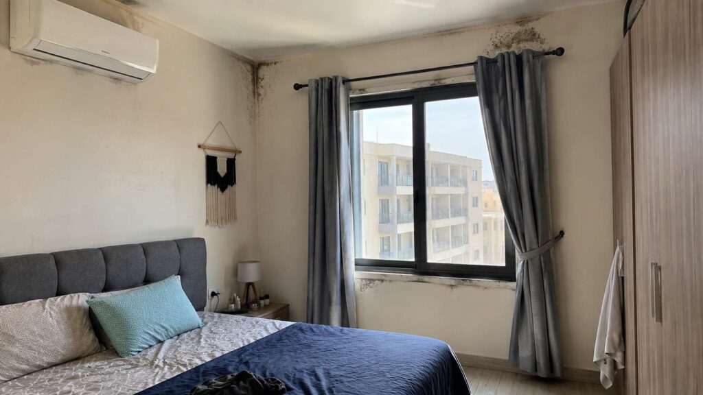 Mold patches in apartment bedroom in UAE