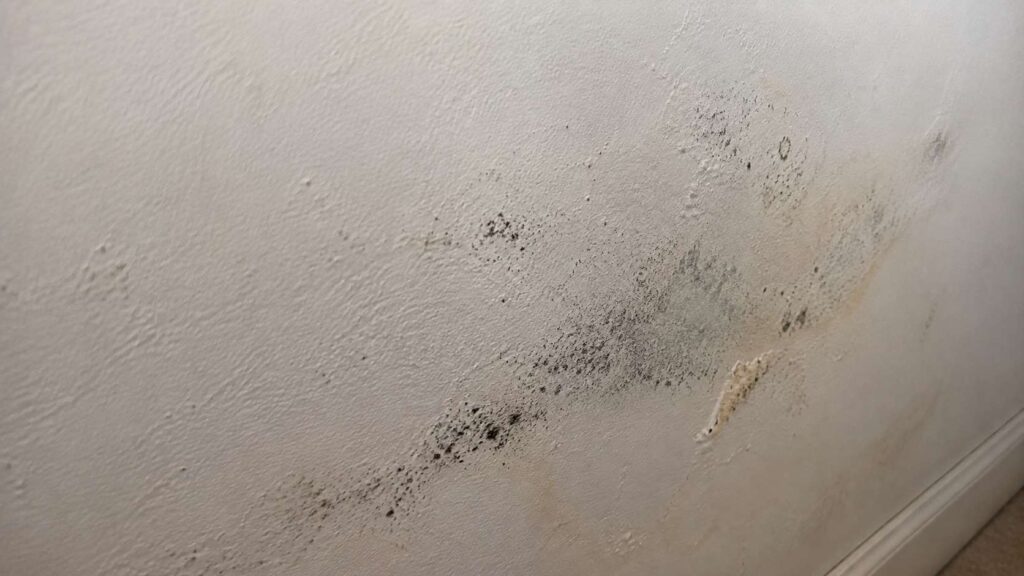 A sign of mold growth on drywall surface
