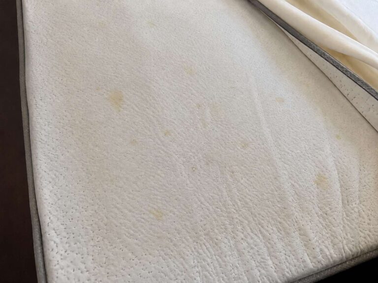 memory foam mattress mold