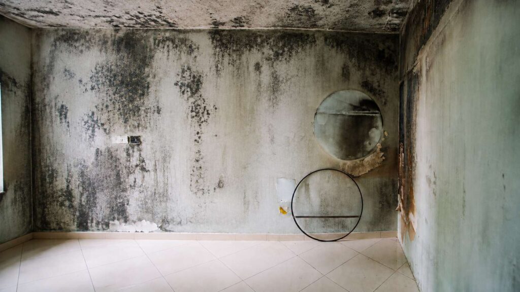 A room full of black mold stains needs remediation