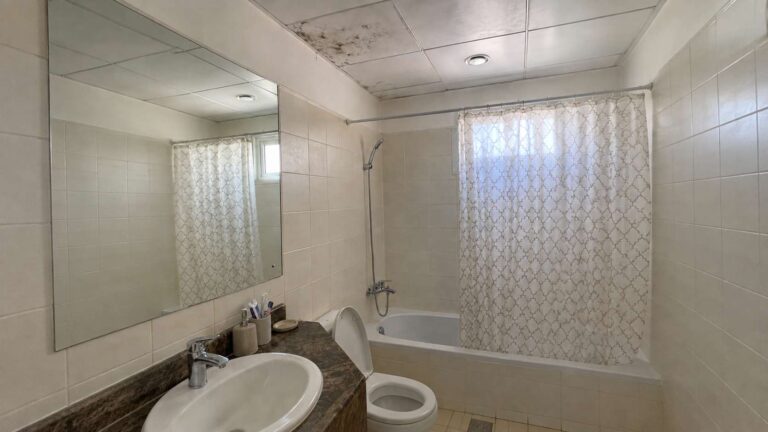Bathroom mold removal cannot wait until the mold spots are spreading farther
