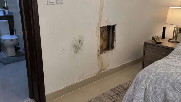 Opened drywall showing surface mold and deeper moisture damage in a UAE home