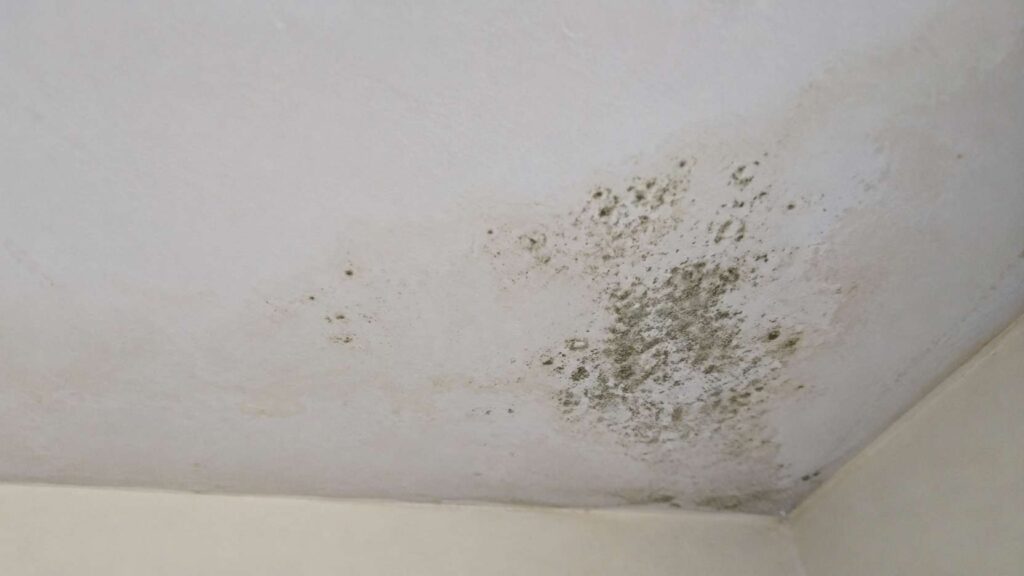 Close up moldy ceiling in UAE apartment