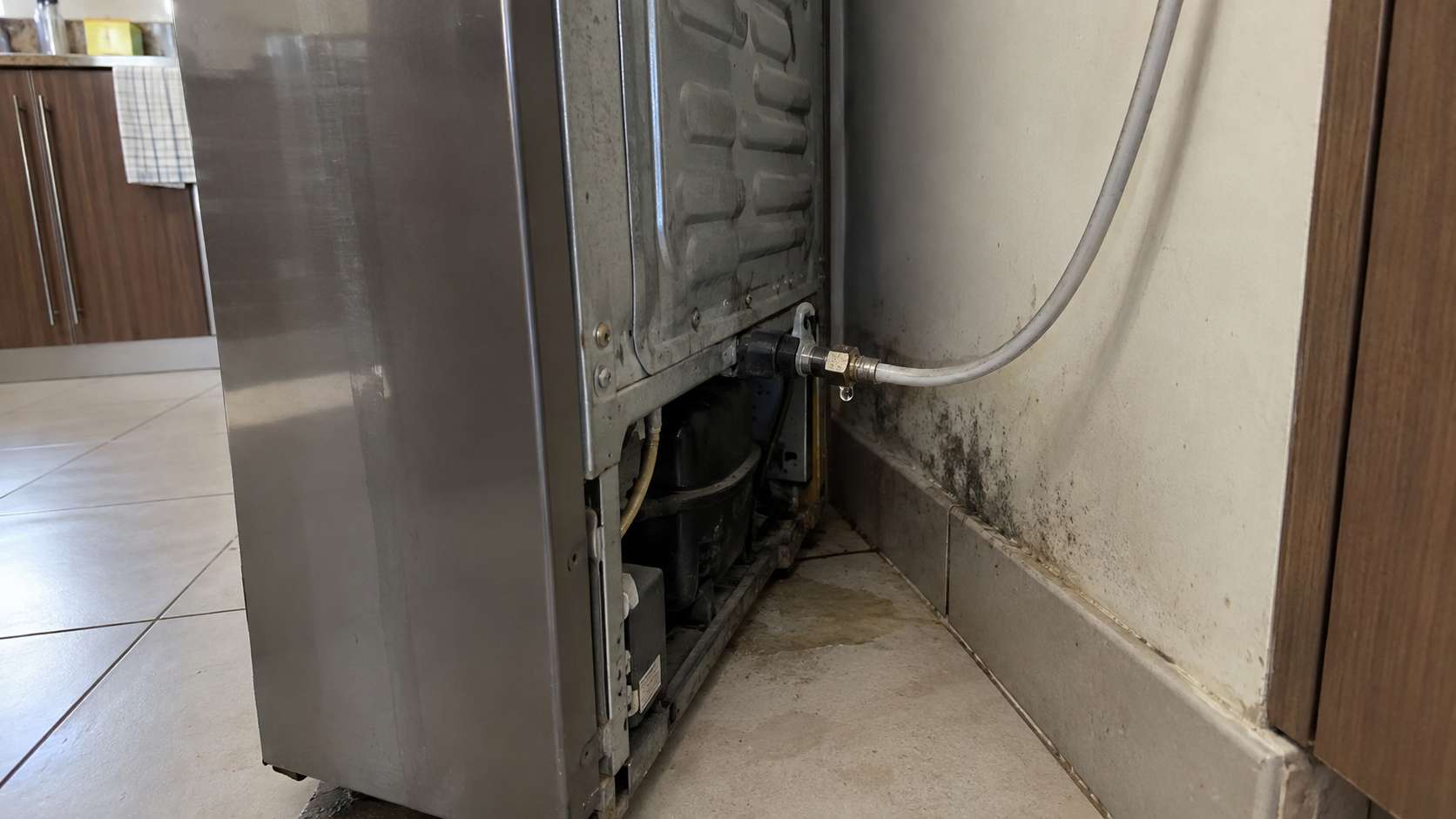 Small refrigerator water-line leak causing dampness and localized mold behind the appliance.