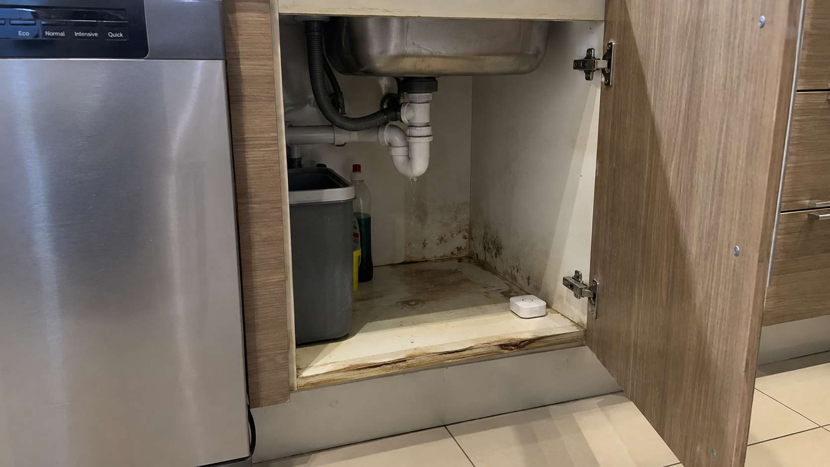 Small under-sink leak causing damp cabinet damage and mold odor after vacation in a UAE home