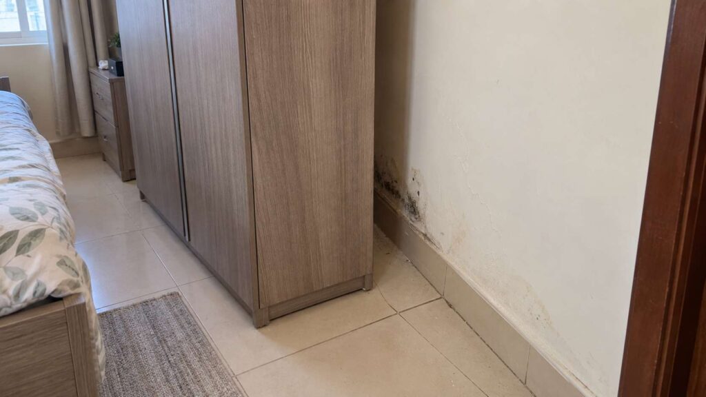 Localized mold and moisture staining revealed behind a wardrobe pulled away from a wall.