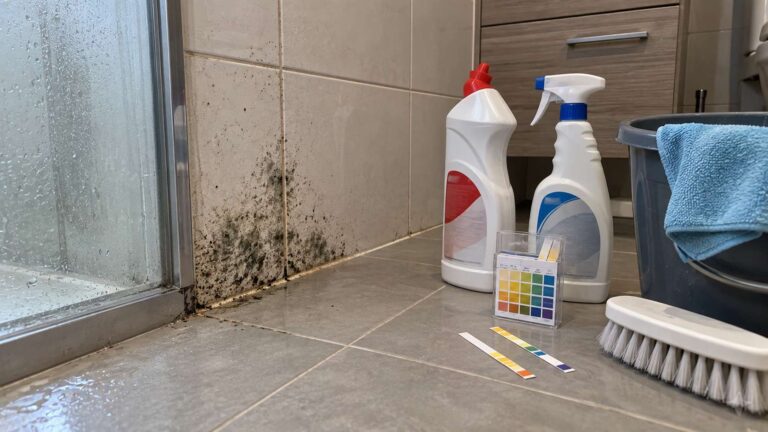 Small mold patch beside acidic and alkaline household cleaners with pH test strips in a UAE home