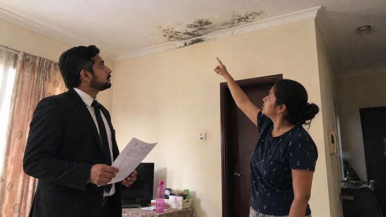 Legal inspection is a solution to who pays for mold remediation under UAE rental rules