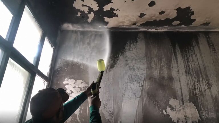 This is how mold cleaning works after fire damage