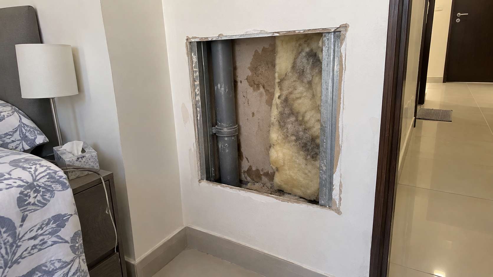 Opened wall cavity showing mold and moisture inside porous materials behind a cleaned surface