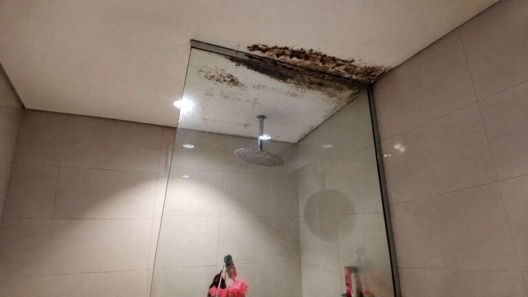 A moldy bathroom ceiling above a shower