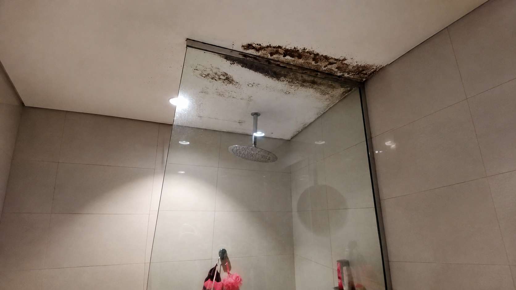 A moldy bathroom ceiling above a shower