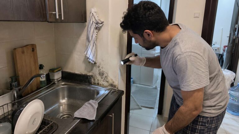 Visible mold on a damp wall beside a wet household surface where bacteria may also grow in a UAE home