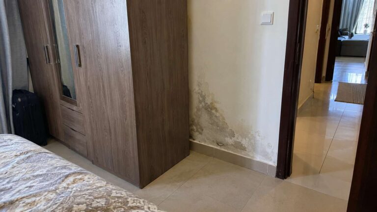 Localized mold, peeling paint, and damp staining on a wall in a UAE apartment