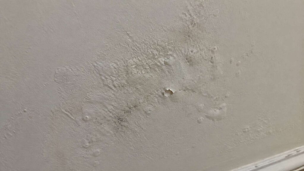 Paint bubbling as a sign of mold growth inside the wall