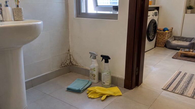 Bleach-free mold spray beside a small mold patch in a ventilated UAE home with pet items kept away
