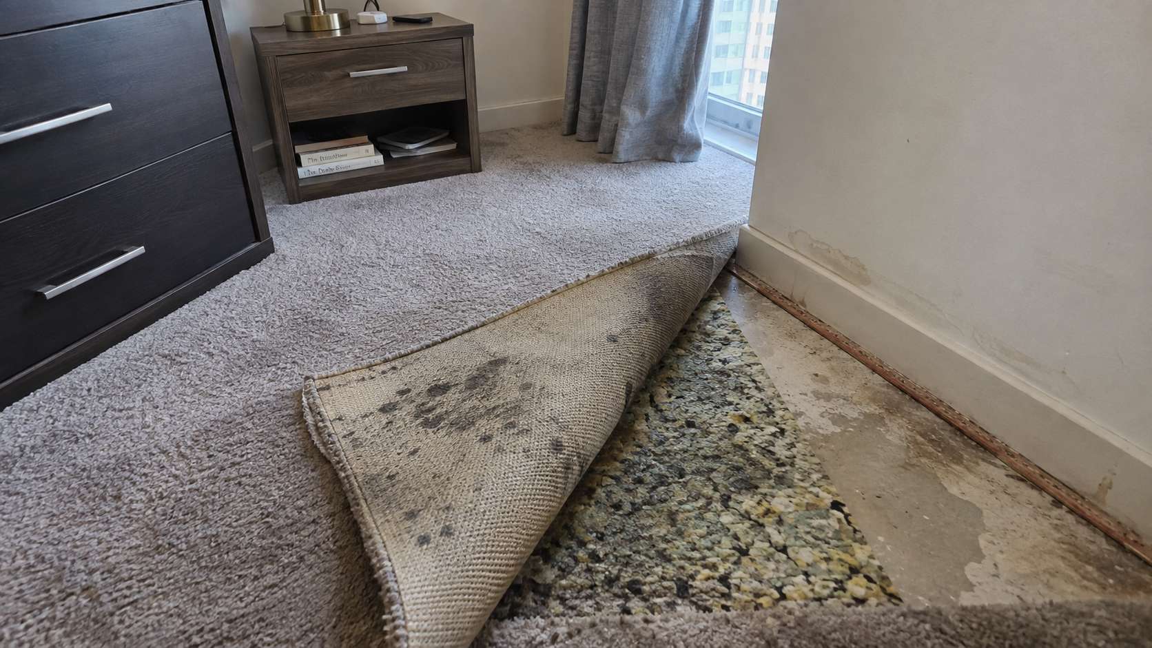 Lifted carpet revealing backing and padding with localized mold and moisture damage in a UAE home
