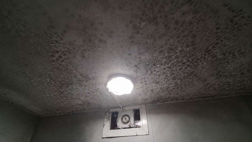 Super moldy ceiling which makes definitely needs a professional mold and mildew remover