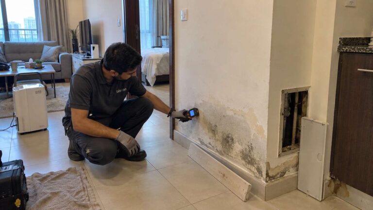 Bio-On technician inspecting mold, moisture damage, and repair needs in a UAE apartment