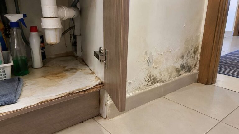 Small hidden water leak causing damp materials, wall damage, and localized mold growth in a UAE home