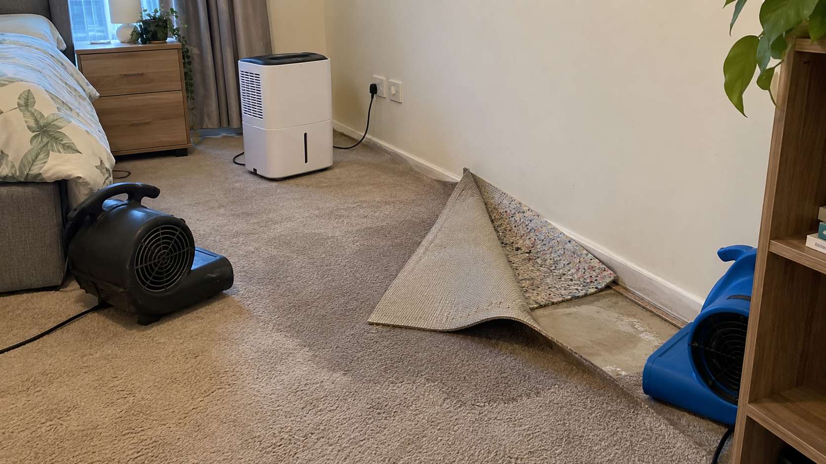 Recently wet carpet being dried with airflow and dehumidification in a UAE home