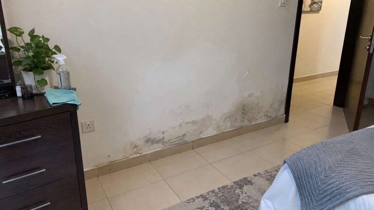 Cleaned wall with returning mold and damp damage showing unresolved moisture in a UAE home