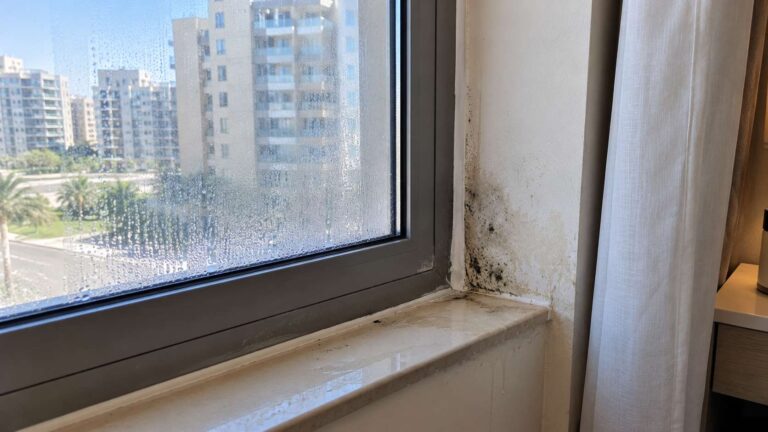 Condensation and returning mold around a recently sealed window frame in a UAE home