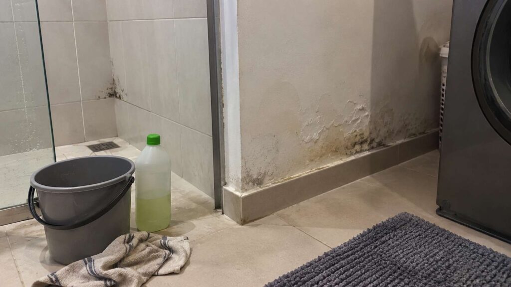 Mold on ceramic tile beside moisture-damaged porous wall material in a UAE home