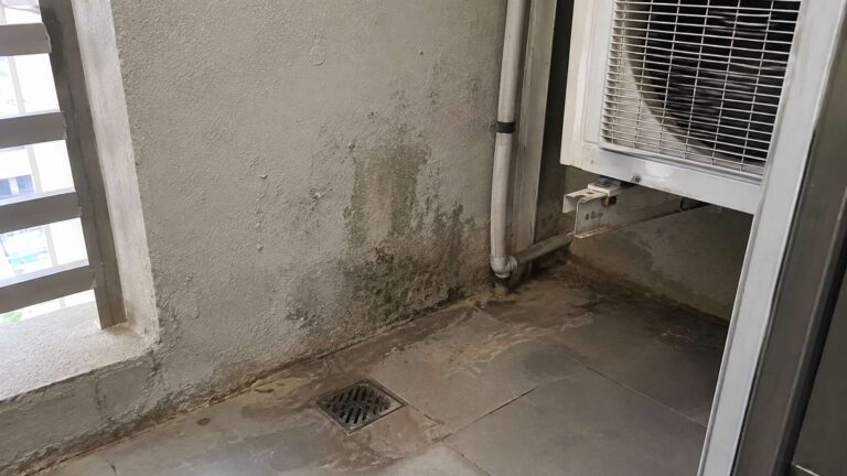 Localized mold and damp staining on porous concrete in a UAE utility area