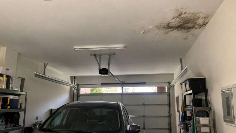 Localized dark mold and water staining on the ceiling of a residential garage.