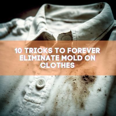 10 Tricks to Forever Eliminate Mold on Clothes - Bio-On