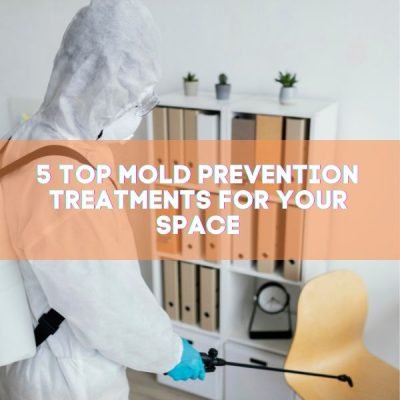 5 Top Mold Prevention Treatments for Your Space - Bio-On